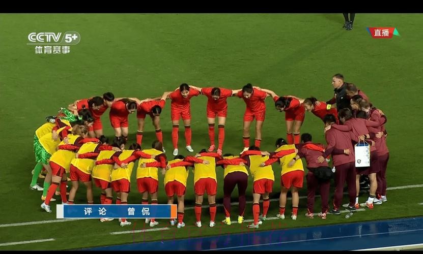 免费观看女足世界杯决赛直播